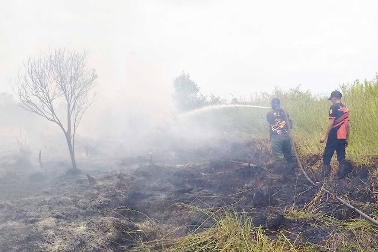 BPBD Padamkan 197,42 Hektare Lahan Gambut yang Terbakar