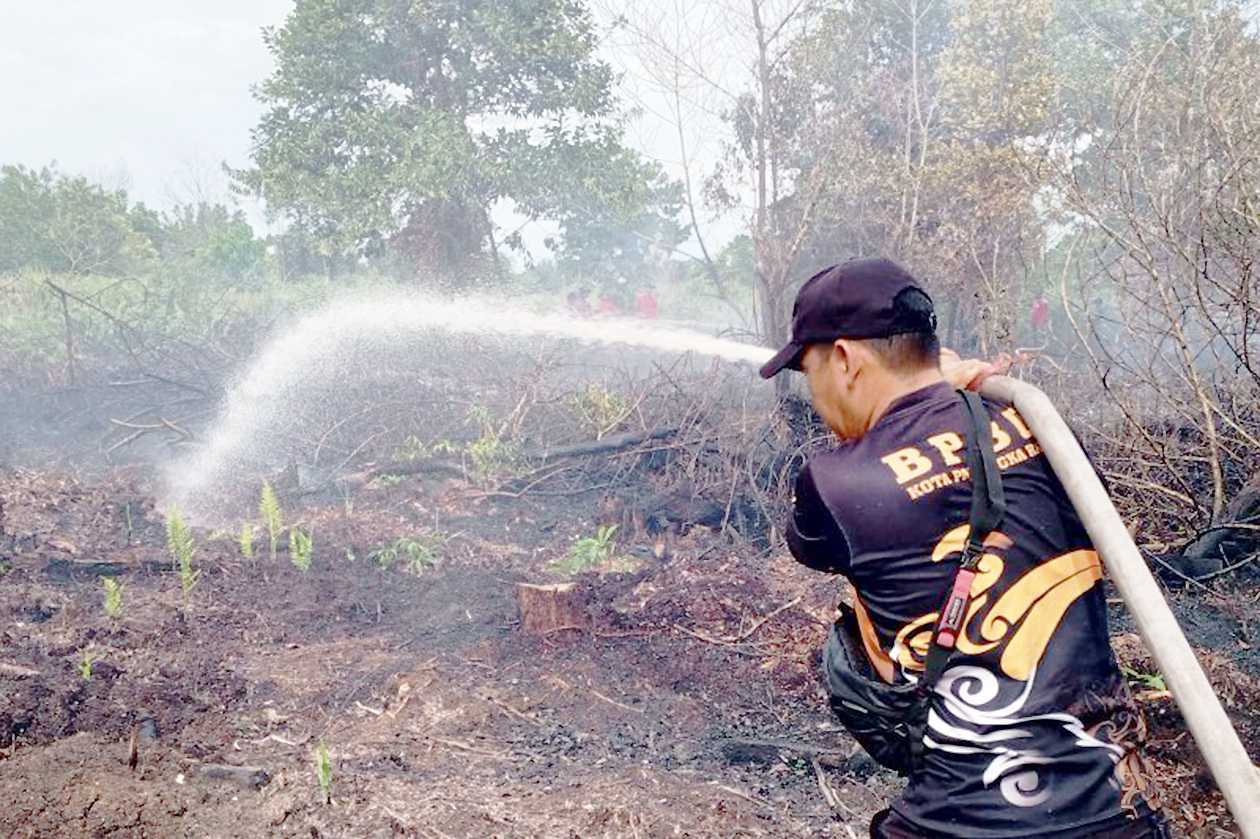 BPBD Palangka Raya Tingkatkan Patroli di Wilayah Rawan Karhutla