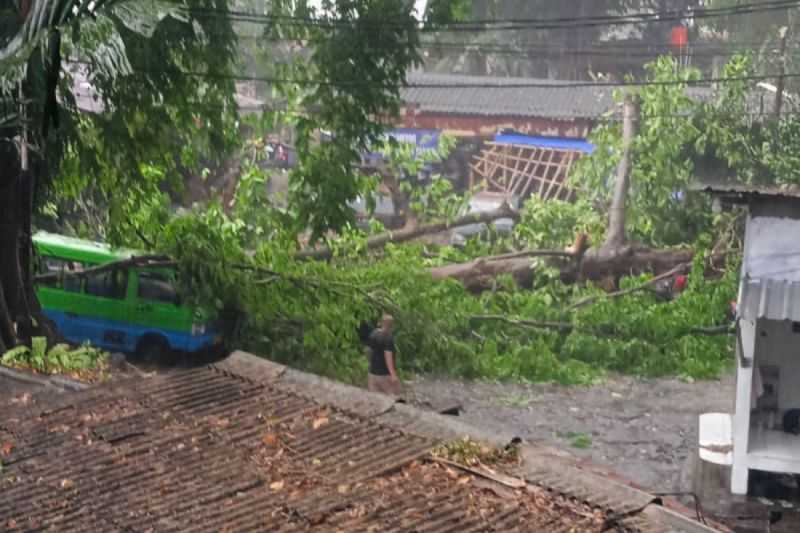 BPBD Terjunkan Personel ke Titik Bencana Akibat Hujan dan Angin di Kota Bogor