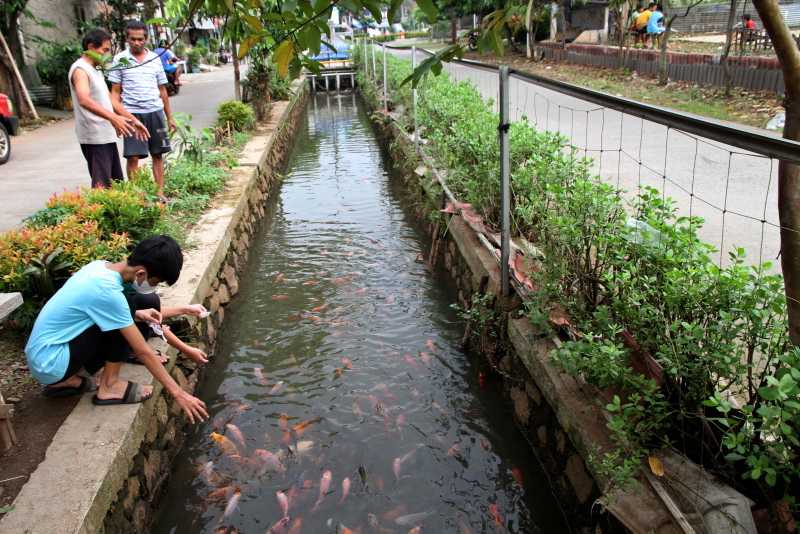 Budidaya Ikan di Saluran Air