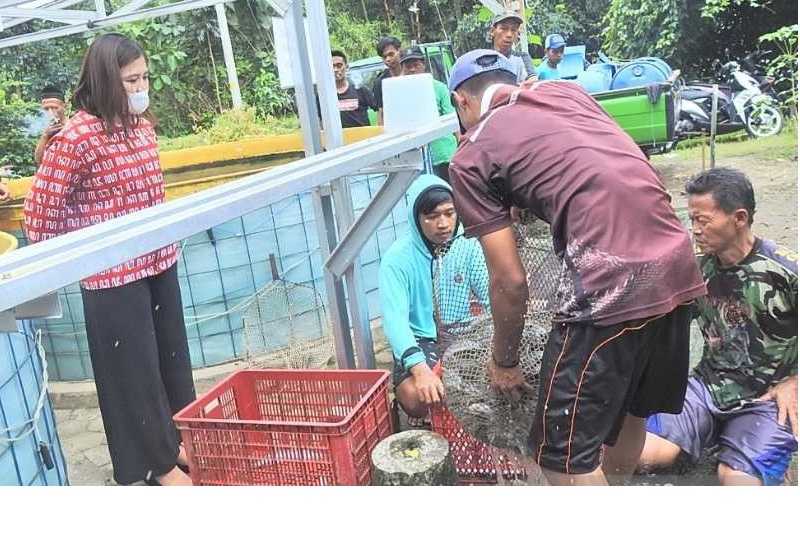 Budidaya Lele Dukung Pemerintah Memerangi Stunting