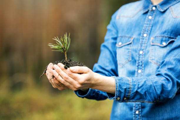 Bumi Semakin Panas! Lakukan Kebiasaan Ini untuk Mengurangi Dampak Global Warming