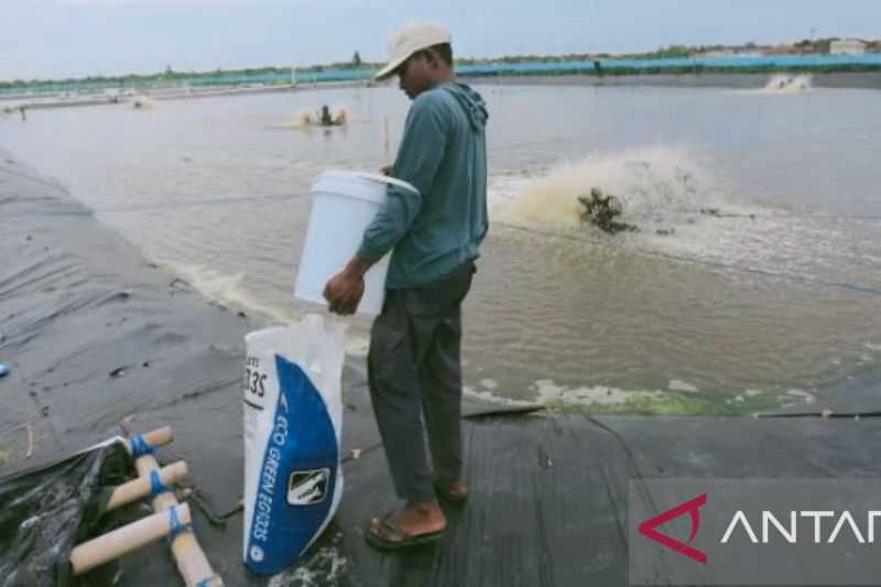 Bupati Karawang Minta Tambahan Pupuk Subsidi untuk Petambak