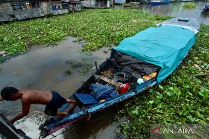 BWS Kalimantan-Kalsel angkut eceng gondok di Sungai Martapura