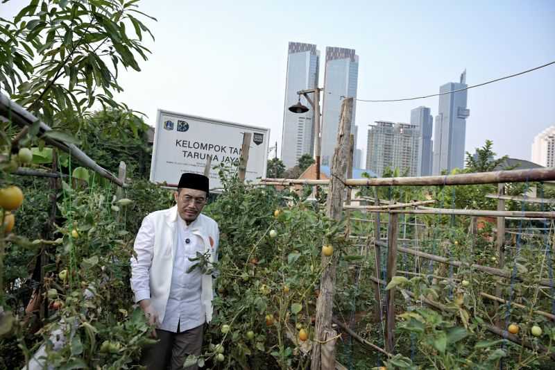 Calon Wagub DKI Suswono Sebut 'Jakarta Urban Farming Projects' untuk Perkuat Ketahanan Pangan