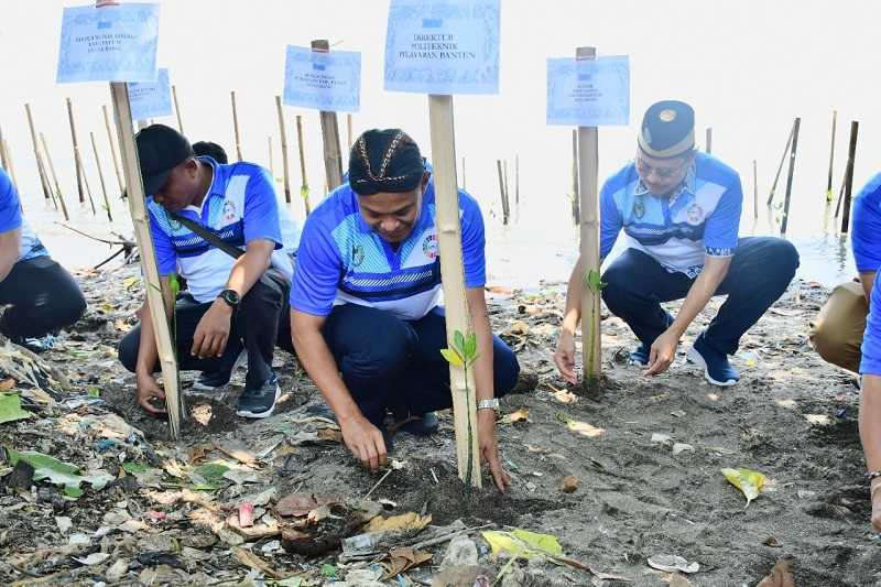 Cegah Abrasi, Politeknik Pelayaran Banten Tanam 3000 Mangrove