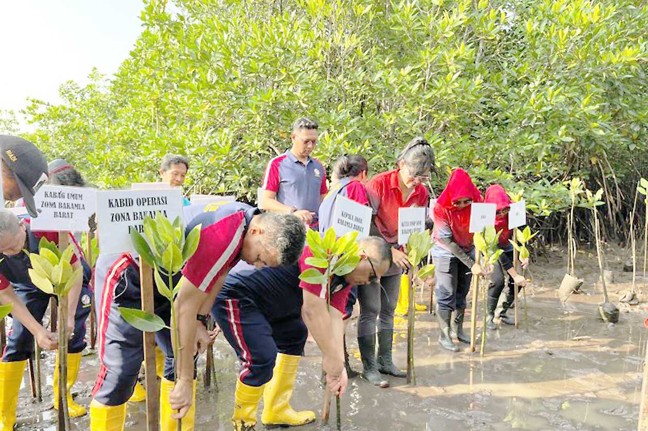 Cegah Abrasi Wilayah Barelang, Bakamla Tanam 39 Ribu Bibit Mangrave