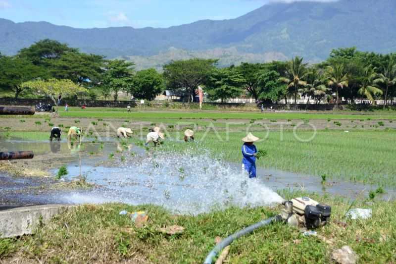 Cegah Gagal Panen, Pemprov Aceh Percepat Program Pompanisasi Lahan Pertanian Kering