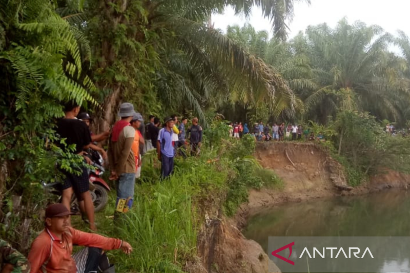 Cegah Jatuh Korban Jiwa, BKSDA Pasang Kamera Perangkap Pantau Buaya Ganas