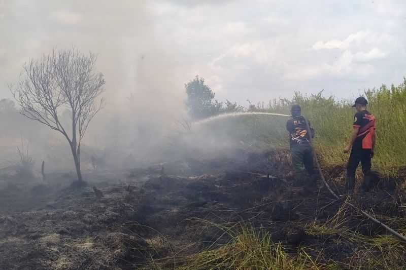 Cegah Karhutla, Palangka Raya Giatkan Patroli Pemantauan Hutan dan Lahan