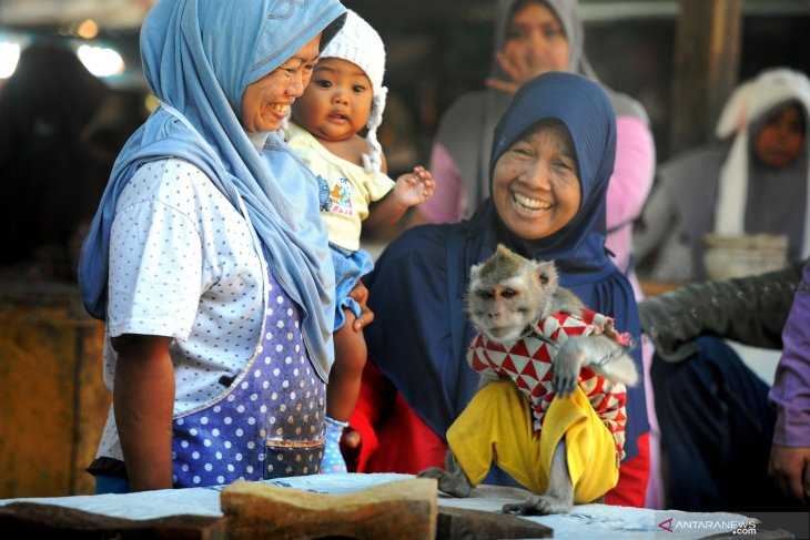 Cegah Rabies, Pemprov DKI Diminta Larang Topeng Monyet