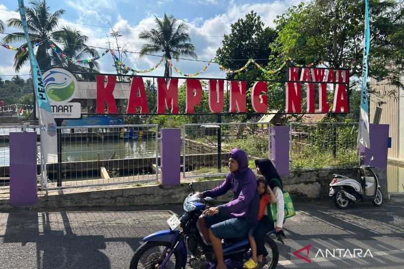 Ciamis Ditargetkan Jadi Kabupaten Ikan Nila Terbesar di Indonesia