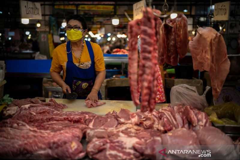 Covid-19 Belum Diatasi Kini Ada Wabah Baru di Thailand, Ditemukan Kasus Demam Babi Afrika di Pemotongan Hewan