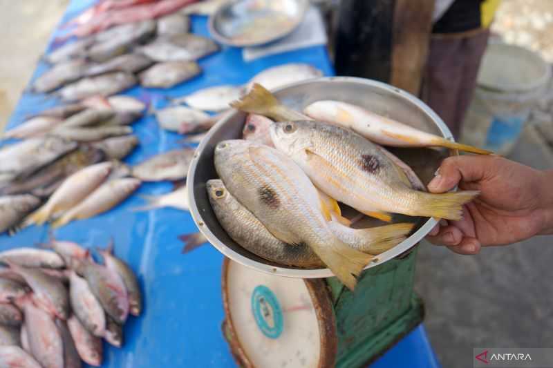 Cuaca Buruk, Harga Ikan Segar Naik karena Banyak Nelayan Tak Melaut di Gorontalo