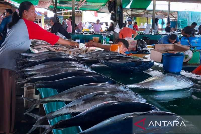 Cuaca Ekstrem, Harga Ikan Segar di Natuna Naik Dua Kali Lipat