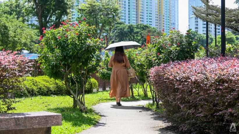 Cuaca Ekstrem, Suhu Udara di Singapura Mencapai 37 Derajat Celsius