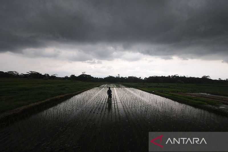 Cuaca Hari Ini, Hujan Ringan Akan Mengguyur Indonesia