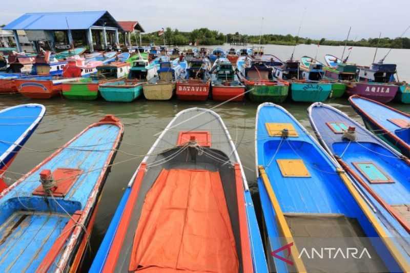 Cuaca Sangat Buruk, Nelayan Aceh Tak Melaut Tiga Hari karena Gelombang Tinggi, Ikan Segar Langka di Pasar