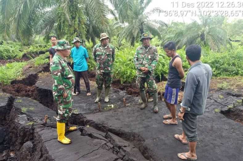 Curah Hujan Tinggi, Ribuan Hektare Lahan Perkebunan Ambles di Bengkalis