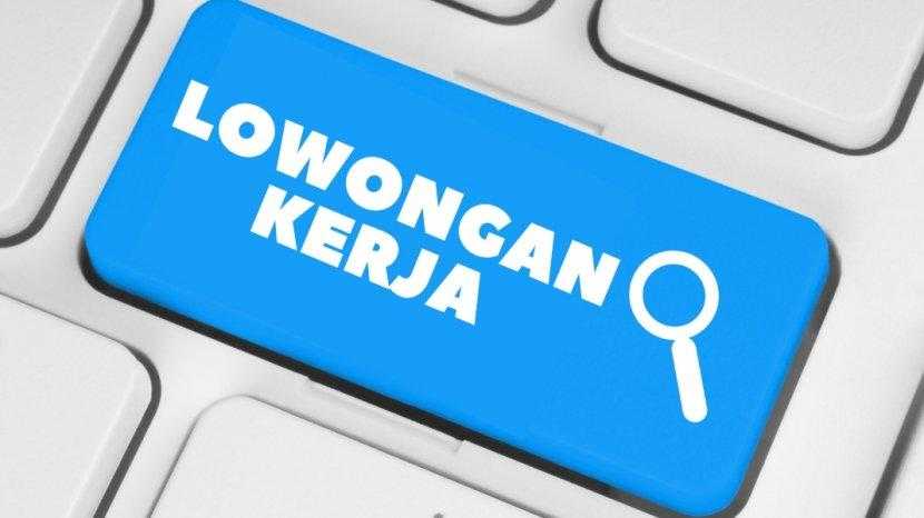 Daftar Lowongan Kerja Terbaru Bergaji UMR, Temukan di OLX!