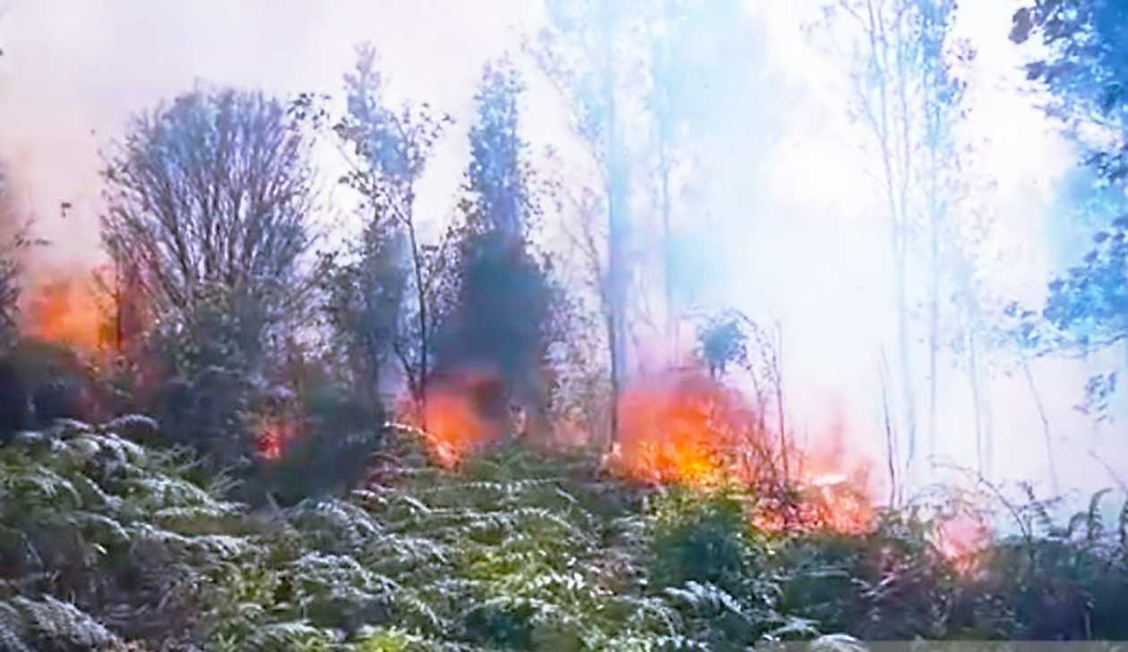 Damkar Natuna Tangani Tiga Kebakaran Lahan dalam Dua Hari