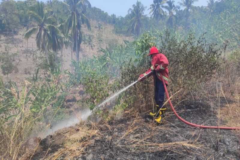 Damkarmat Lamsel Minta Warga Waspadai Kebakaran Hutan dan Lahan