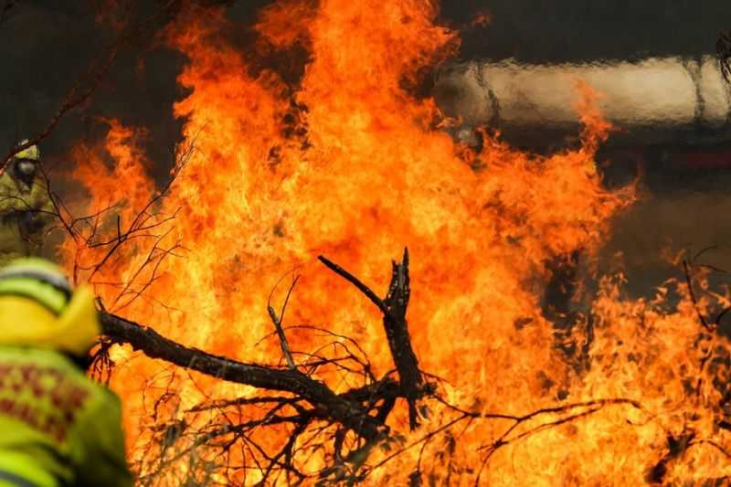 Dampak Cuaca Panas, Australia Berjibaku dengan Kebakaran Akibat Suhu Meningkat