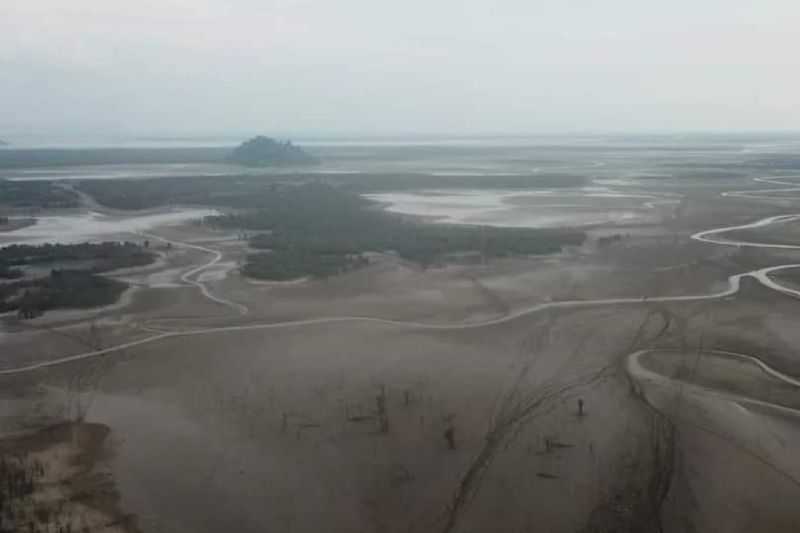 Danau Sentarum Kering, Komisi V DPR: Sumur Bor Bisa Atasi Kesulitan Air Bersih