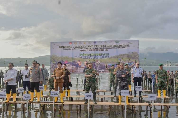 Danlantamal IX Sukseskan Mangrove For Better Life yang Dipimpin Presiden Jokowi