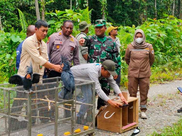 Danramil di Mimika Hadiri Kegiatan Pelepasliaran Satwa Ke Habitat Alamnya