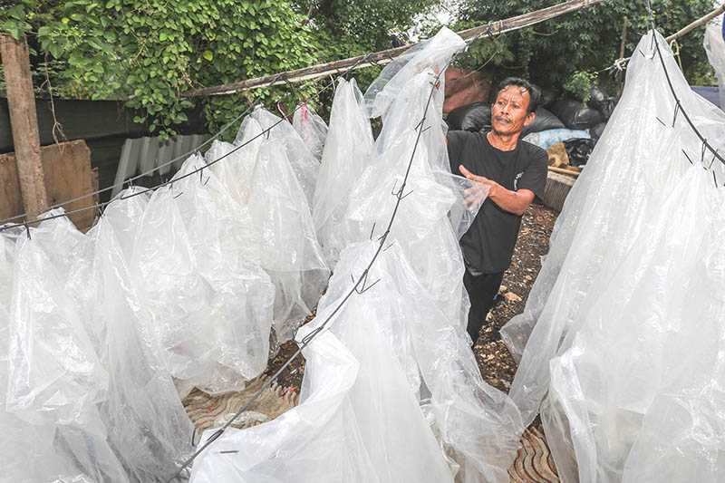 Daur Ulang Sampah Plastik di Bambu Apus