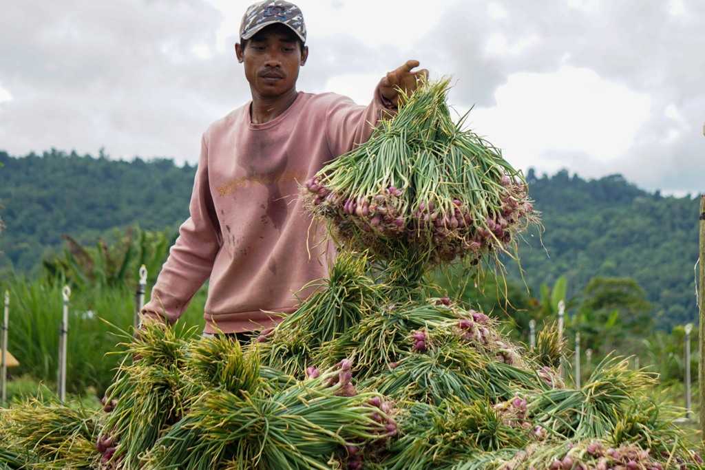 Daya Beli Petani