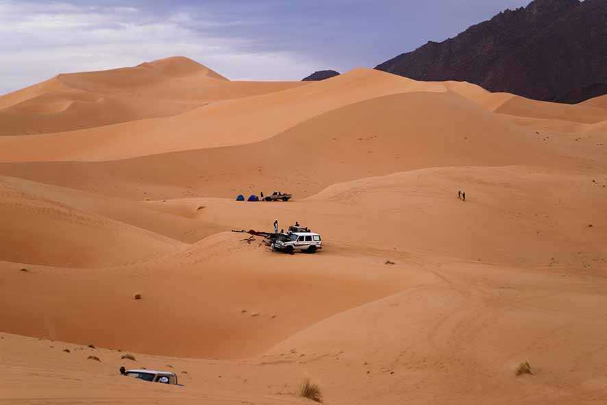 Debu Gurun Sahara Menyuburkan Tanaman di Hutan Amazon