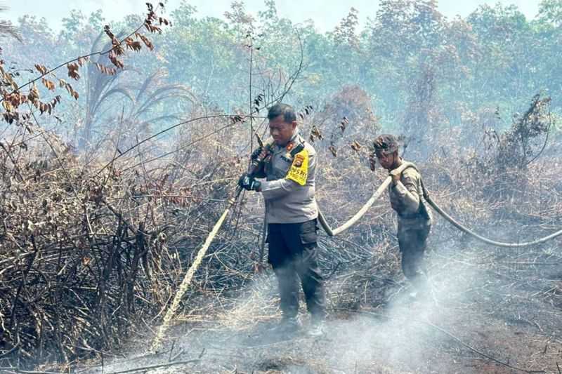 Delapan Daerah di Riau Tetapkan Status Siaga Darurat Karhutla