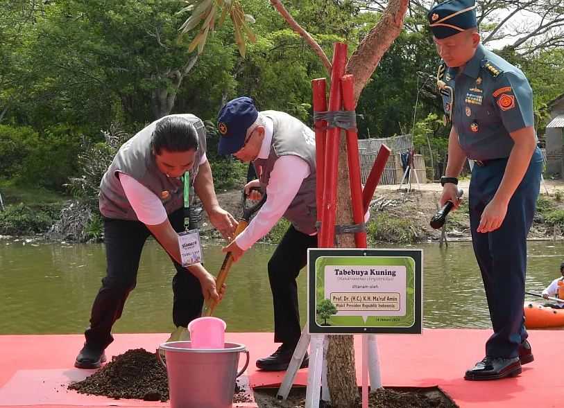 Demi Jaga Lingkungan, Wapres Ma'ruf Inisiasi Penanaman Pohon Serentak se-Indonesia
