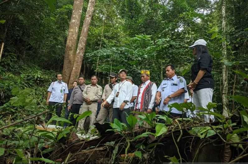 Demi Keseimbangan Alam, Burung-burung Kacer Dilepasliarkan di Gunung Poteng Kalimantan Barat