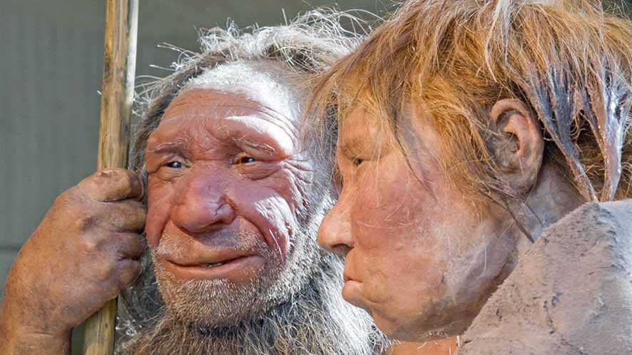 Denisovan, Manusia yang Punah 200 Ribu Tahun yang Lalu