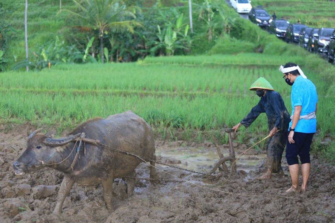 Desa Wisata Bantaragung Serap Banyak Tenaga Kerja Lokal