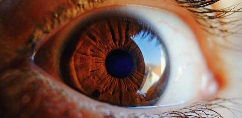 Deteksi Penyakit Mata Glaukoma Melalui Penanda Biologis