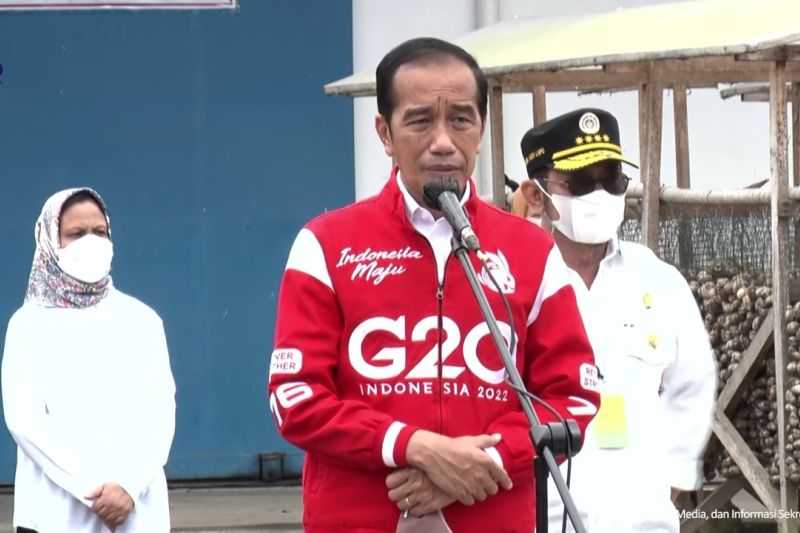 Dibutuhkan di Lima Negara, Presiden Jokowi Harap Pinang Biji Jadi Komoditas Ekspor Unggulan