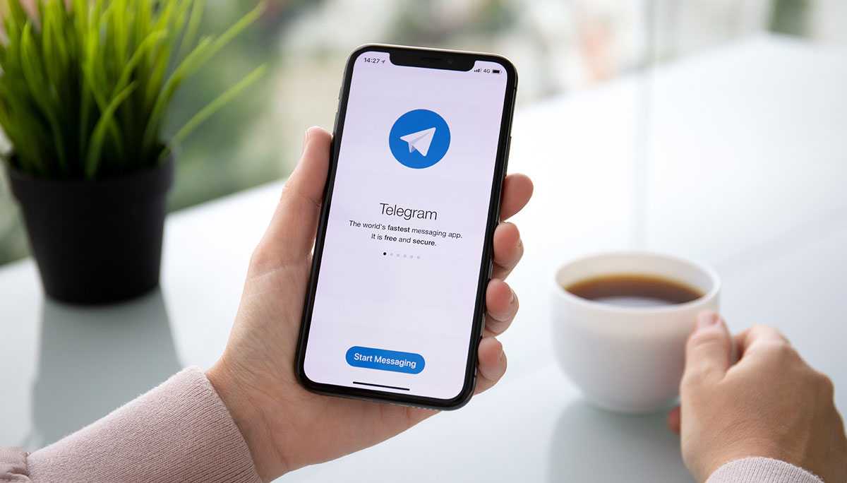 Didapuk Sebagai Pengganti WhatsApp, Telegram Malah  Jadi Sarang Hacker
