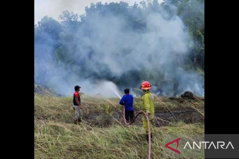 Diduga Dibakar Oknum Warga, Sekitar 1,5 Hektare Hutan Pesisir di Bangka Tengah Ludes Terbakar