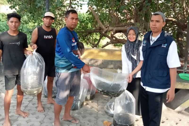 Dinas Kelautan dan Perikanan Kota Mataram Bantu 5.000 Bibit Ikan Nila