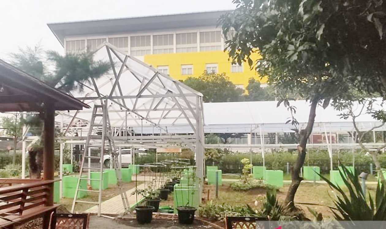Dinas KPKP DKI Rampungkan Kebun Anggur di Kembangan
