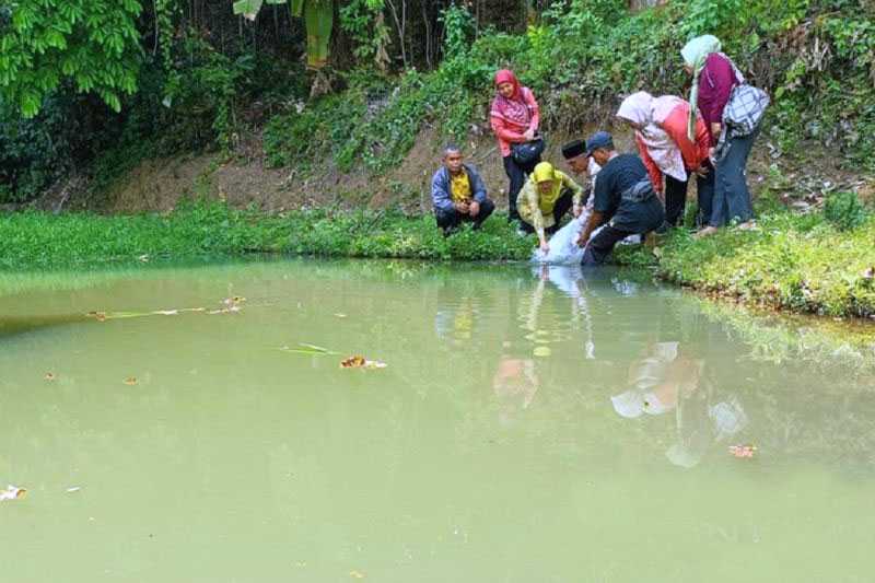 Dinas Perikanan Sukabumi Tebar Ribuan Benih Ikan Lokal