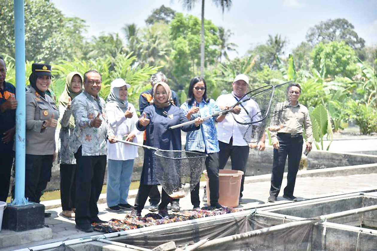 Dinas Pertanian Sleman Jalankan Inovasi Budi Daya Ikan Silamanda