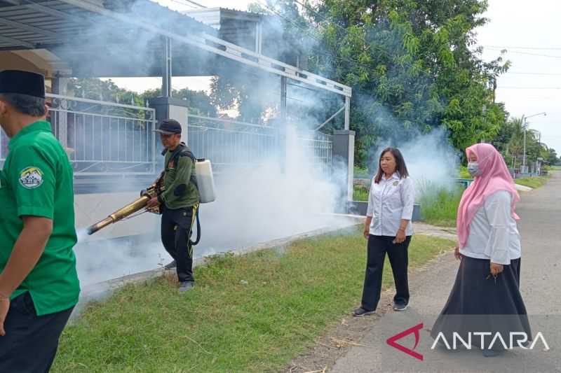 Dinkes Situbondo Rutin 'Fogging' Basmi Nyamuk Aedes Aegypti