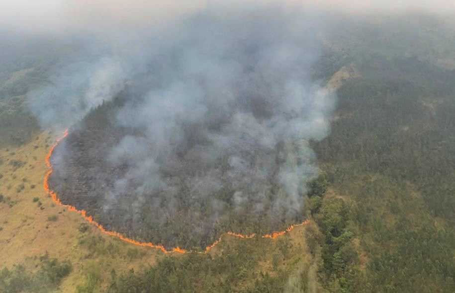Dinsyalir karena Perburuan Liar, Kebakaran Hutan di Gunung Arjuno Meluas hingga Sisi Kabupaten Pasuruan