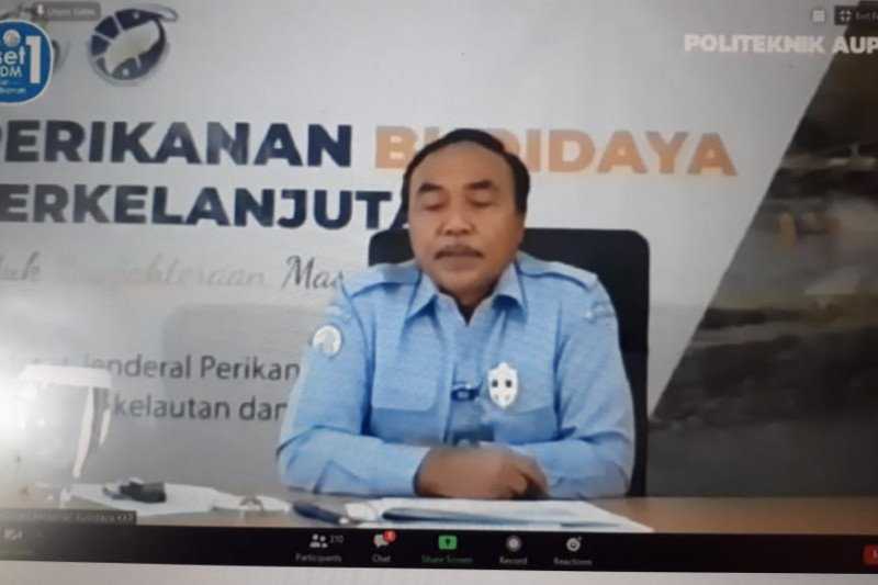 Dirjen KKP: Potensi Budidaya Laut Terbuka Sangat Lebar