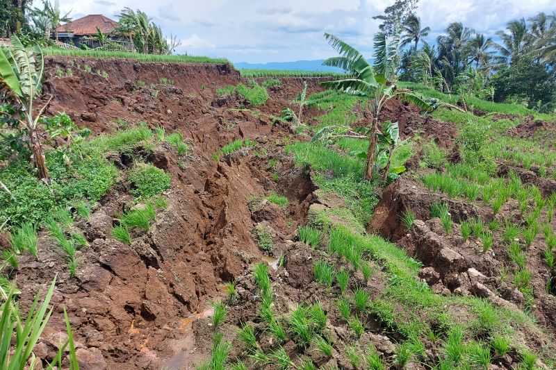 Disiapkan Skema Alih Profesi Petani Terdampak Gempa di Cianjur